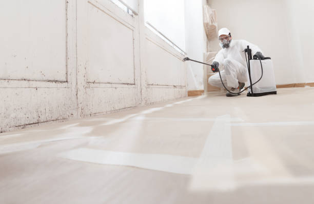 24/7 Emergency Basement Mold Removal experts in Livingston, TN